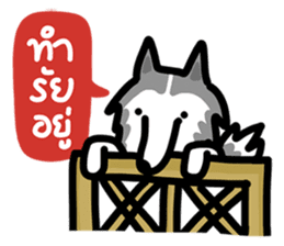kevin : The Siberian Husky sticker #5954073