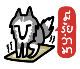 kevin : The Siberian Husky sticker #5954075