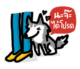 kevin : The Siberian Husky sticker #5954077