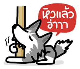 kevin : The Siberian Husky sticker #5954081