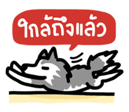 kevin : The Siberian Husky sticker #5954082