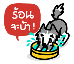 kevin : The Siberian Husky sticker #5954083