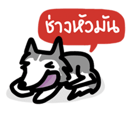 kevin : The Siberian Husky sticker #5954095