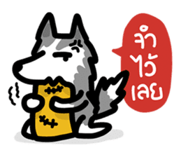 kevin : The Siberian Husky sticker #5954098