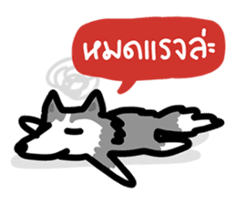 kevin : The Siberian Husky sticker #5954105