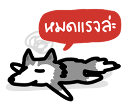 kevin : The Siberian Husky sticker #5954105
