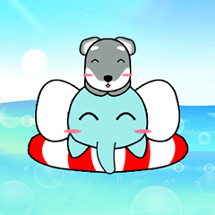 Elephant and Schnauzer life diary