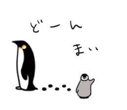 Penguin brothers 5+1 sticker #5957715