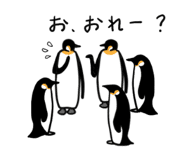 Penguin brothers 5+1 sticker #5957726