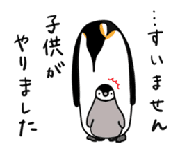 Penguin brothers 5+1 sticker #5957742