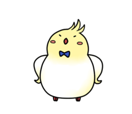 Cockatiel,Java & Owl sticker #5957744
