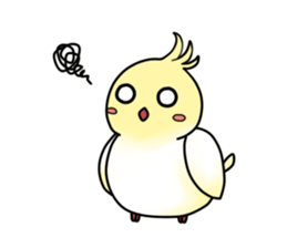 Cockatiel,Java & Owl sticker #5957749