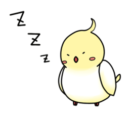Cockatiel,Java & Owl sticker #5957750