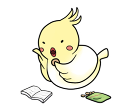 Cockatiel,Java & Owl sticker #5957751