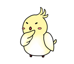 Cockatiel,Java & Owl sticker #5957754