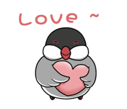 Cockatiel,Java & Owl sticker #5957769