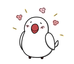 Cockatiel,Java & Owl sticker #5957774