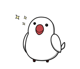 Cockatiel,Java & Owl sticker #5957777