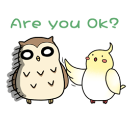 Cockatiel,Java & Owl sticker #5957782