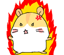 The humstar sticker #5958905