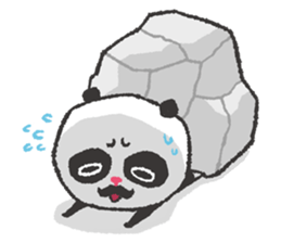 Adventurer Panda Elvis & Frog Olive sticker #5963040