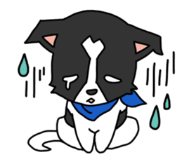 IRU and BIKKE sticker #5964101