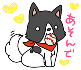 IRU and BIKKE sticker #5964102