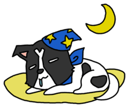 IRU and BIKKE sticker #5964107