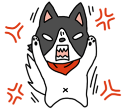 IRU and BIKKE sticker #5964120