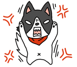 IRU and BIKKE sticker #5964120