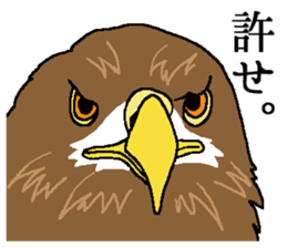 World of Birds picture book sticker #5964169