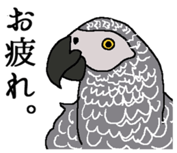 World of Birds picture book sticker #5964171