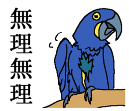 World of Birds picture book sticker #5964172