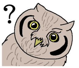 World of Birds picture book sticker #5964176