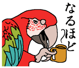 World of Birds picture book sticker #5964177