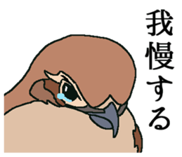 World of Birds picture book sticker #5964181