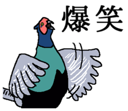 World of Birds picture book sticker #5964182