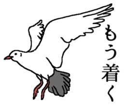 World of Birds picture book sticker #5964184