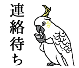 World of Birds picture book sticker #5964186