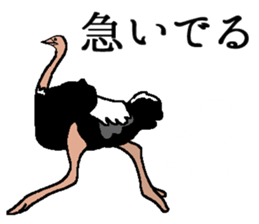 World of Birds picture book sticker #5964188