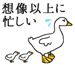 World of Birds picture book sticker #5964190