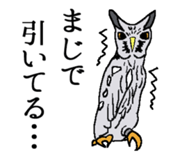 World of Birds picture book sticker #5964199