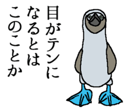 World of Birds picture book sticker #5964202