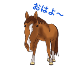 Sticker of horse lovers 2 sticker #5964938
