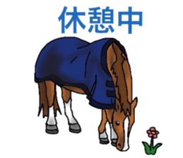 Sticker of horse lovers 2 sticker #5964948
