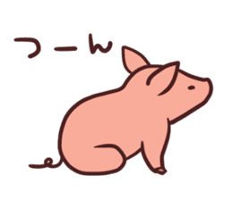 Small pig sticker #5966015