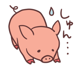 Small pig sticker #5966033