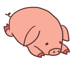 Small pig sticker #5966035