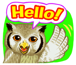 The Fancy Owls. sticker #5967264