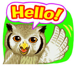 The Fancy Owls. sticker #5967264